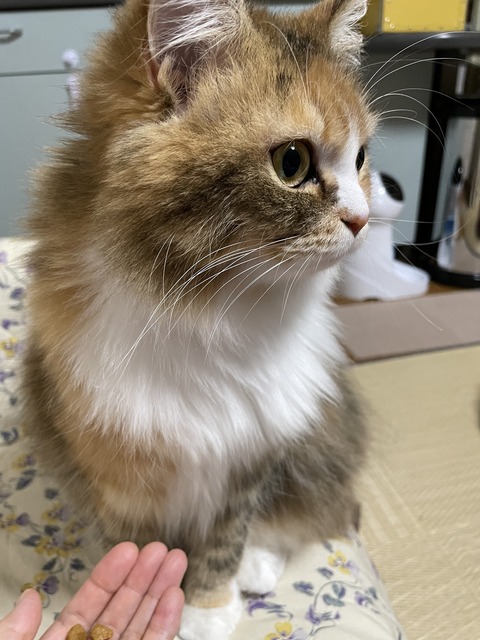 4D4BA5F7-E4E0-4F7F-99D7-FA9A5A98B30E