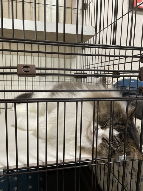 98679EBA-39A4-452A-B070-C6155B2ED97F