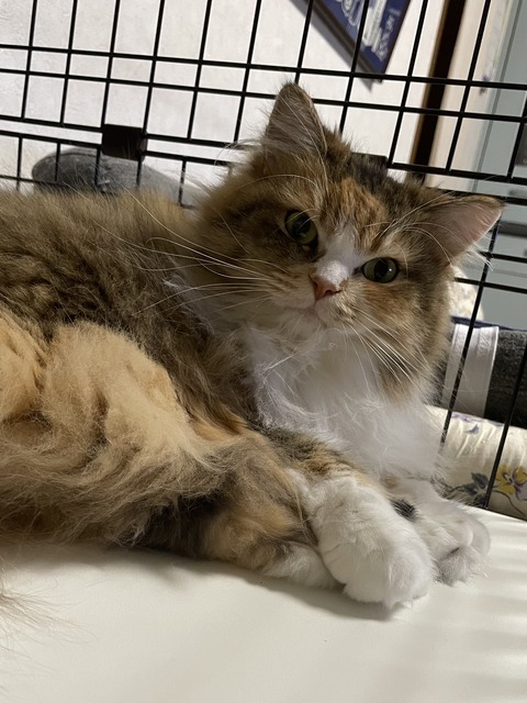 5BD9C222-3EF1-4B46-A97C-5E43A44F214A