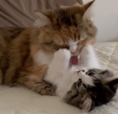 34380E95-1637-4CC4-83C4-423A91328B25