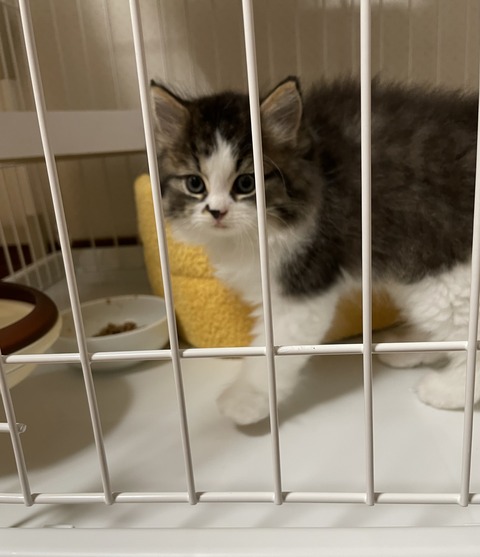 D3A33B1F-7E4C-48B3-8701-0ED098977AB0