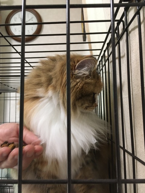 B658E7D3-B91F-4511-BF98-84E0B77A8F61