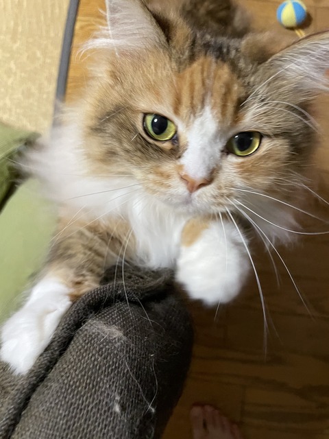 335E21EE-5E8C-4788-A855-AB0745DBDC6B