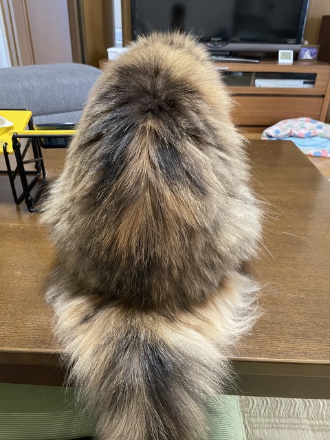 224E1397-CE4F-4D3A-ADD5-B9B6DA2D87A9