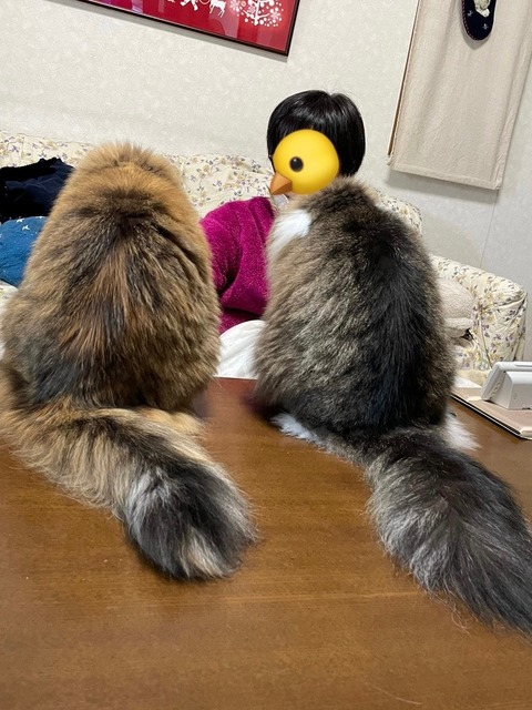 9954E5C9-E7C3-4D1B-9A3E-2AB71F8D9052