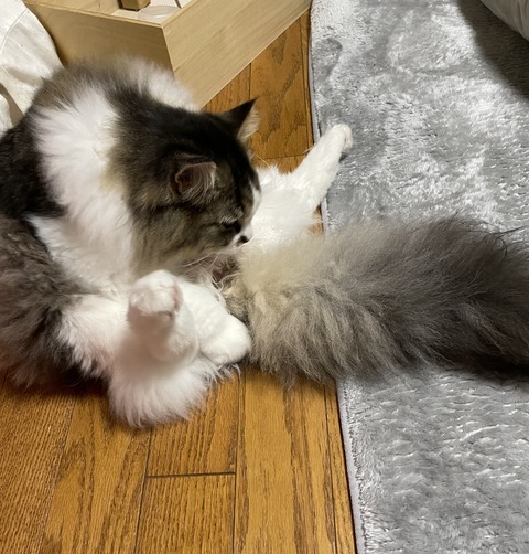 EA9A20EC-005A-480A-AC53-61C04E752C86