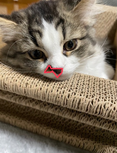 A8FE03B3-E005-40C9-BDFE-12AD5C785806