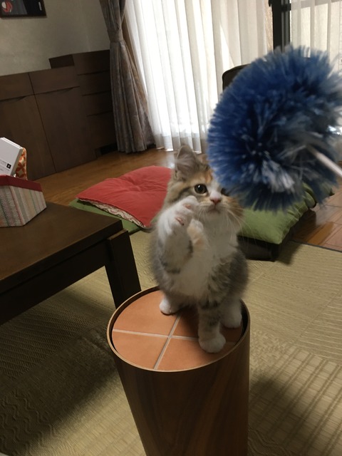 7A155404-0E02-4D14-AE83-C311FA031DB7