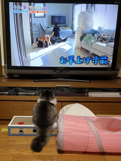 AB707800-C1E5-4447-BA8D-95A3A94885B1