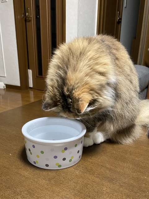 02CAED85-F07E-4467-A2AF-324E835A962B