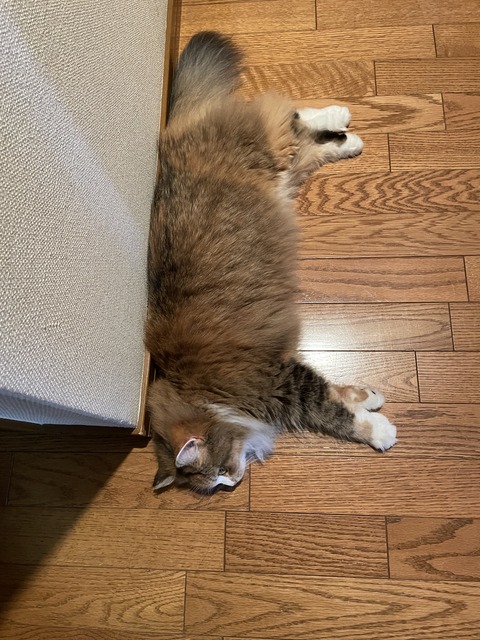 8B1D55E4-0A29-46FF-9CB7-8C93B74EF887