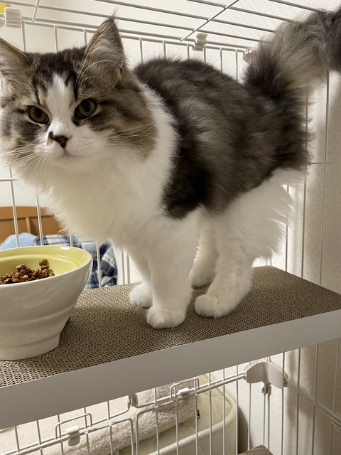 E0B0292C-9840-480C-867D-1F9879562B82