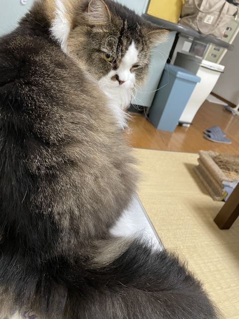 9A949E76-A677-452C-A2DF-7B2D3652FE3C