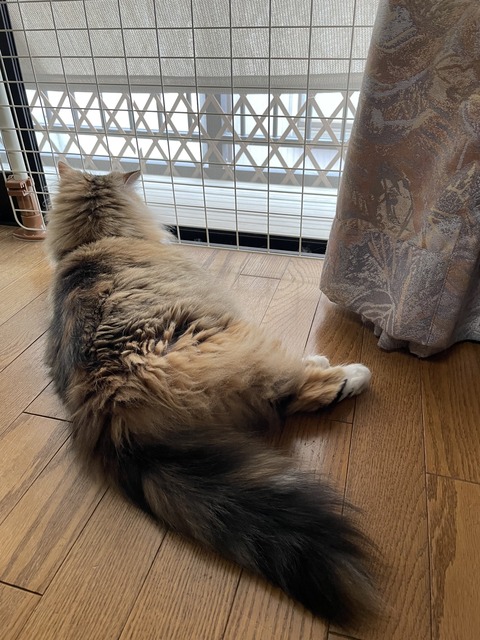 83629142-C03A-4F9D-AB32-207FC3C45649