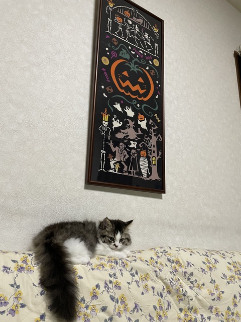 5C929270-D93E-4612-9067-F5A8A12CAECB