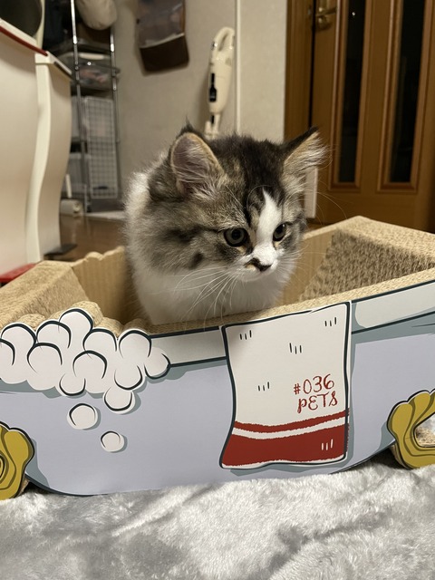 57C02C72-AEAB-4653-87B4-8EE265B21CF0