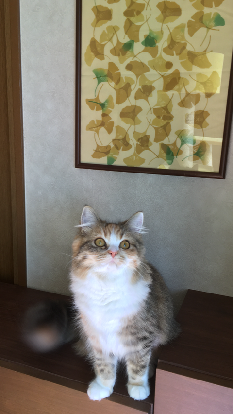 9DD9C2E2-8685-49A5-A72B-1ECBD0879EA9