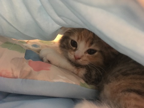 A4E0A550-3766-4634-ADBF-3625D0C70937