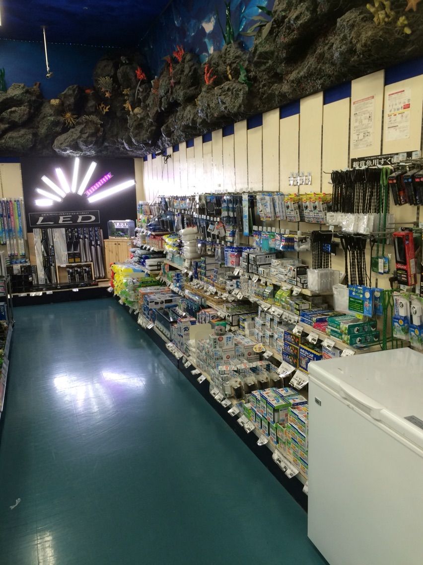 ジョイフル本田 瑞穂店 筑波めだか メダカ通信販売のブログ ジョイフル本田 瑞穂店 筑波めだか メダカ通信販売のブログ