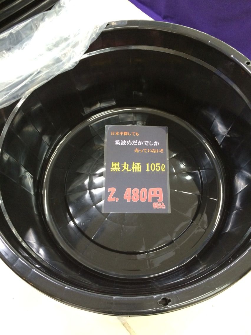 速報 黒桶3種販売 筑波めだか メダカ通信販売のブログ 速報 黒桶3種販売 筑波めだか メダカ通信販売のブログ