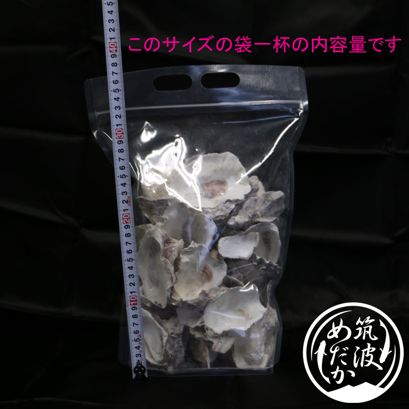 アウトレット牡蠣殻 とは 筑波めだか メダカ通信販売のブログ