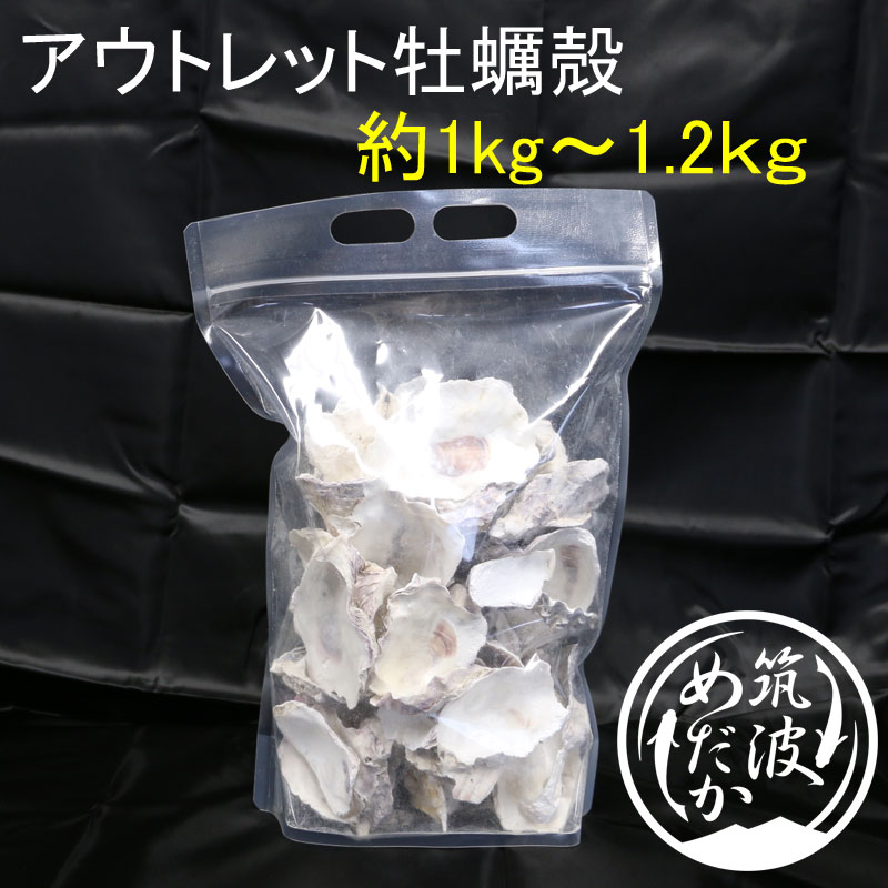 アウトレット牡蠣殻 とは 筑波めだか メダカ通信販売のブログ