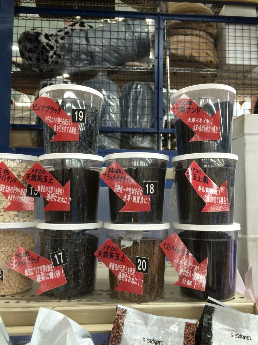 メダカの底砂 筑波めだか メダカ通信販売のブログ