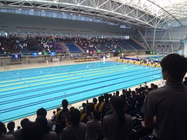 日本選手権水泳競技大会