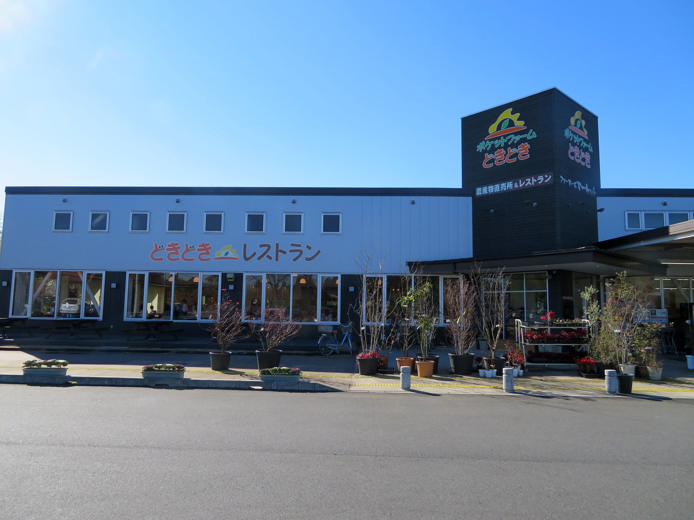 つくばランチ食べ歩き2 ポケットファームどきどき レストラン 牛久