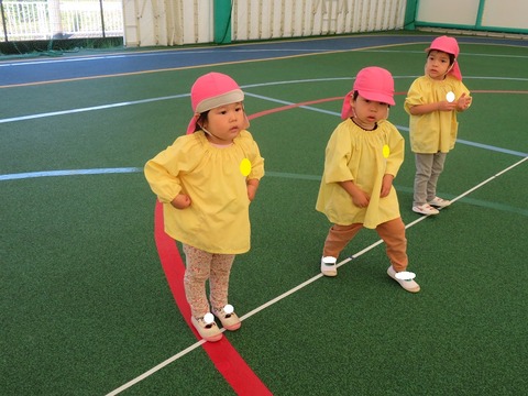 IMG_2535 - コピー