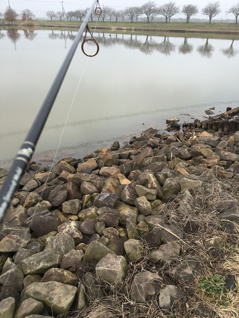 そういえば 母子島遊水池 Anglers High 筑波商事 武者震い釣行記