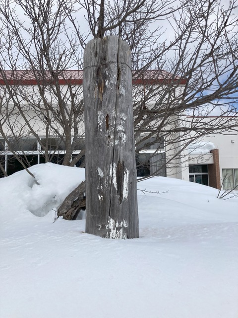 天塩町役場雄信内支所の写真