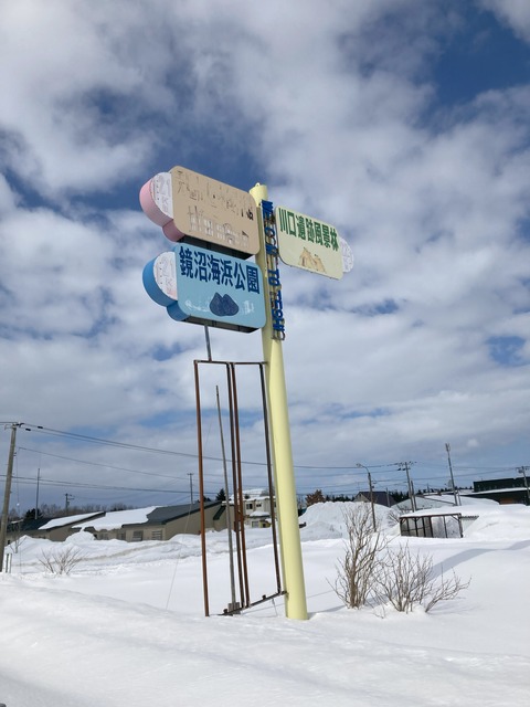 ダンディ公園らへんで見た看板の写真
