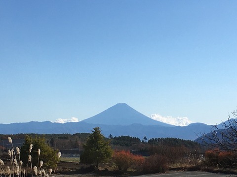 20201121_033657709_iOS