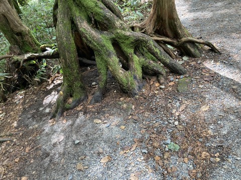 C16BD3A8-9972-4389-B519-71DB6C2CE94B