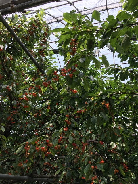 20210625_031350805_iOS