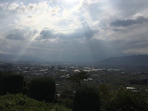 20210924_062212868_iOS