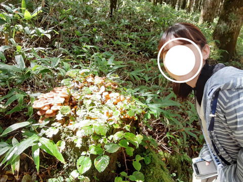 9107F8D3-FF04-4DD3-A547-82082536F7E7