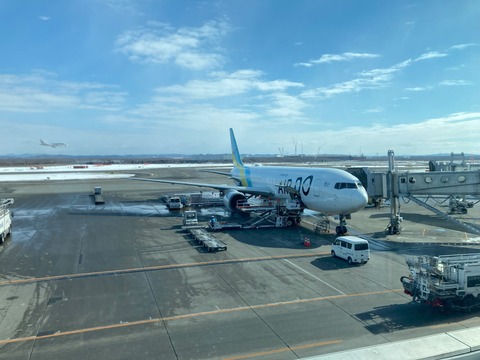 乗ってきた飛行機の写真