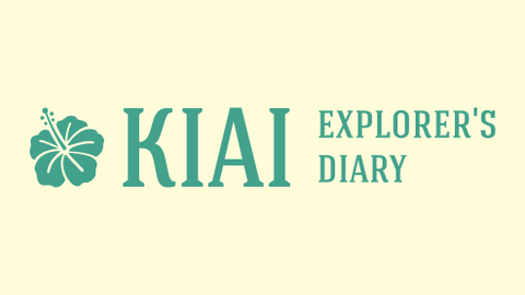KIAI_Logo169