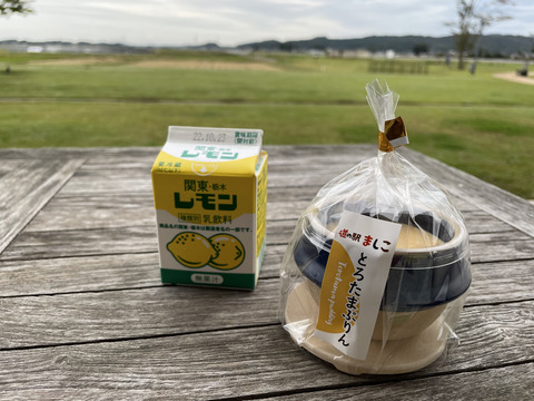 道の駅 ましこ プリン