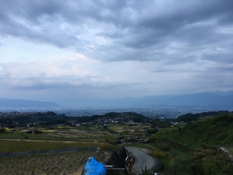 20210924_083513161_iOS