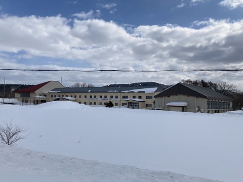 啓徳小学校の写真