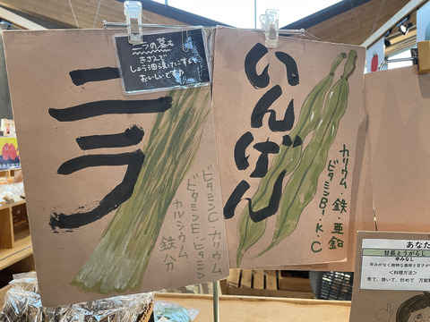 道の駅 ましこ POP