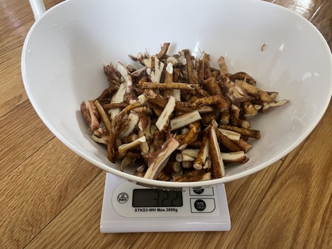 たんぽぽ乾燥前