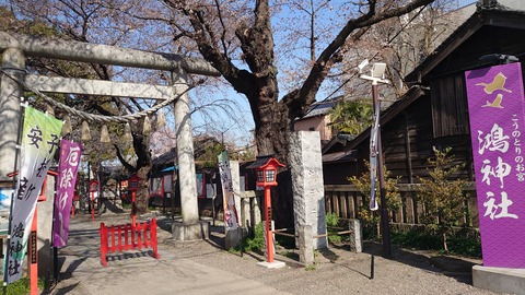 DSCPDC_0001_BURST20210323143320486