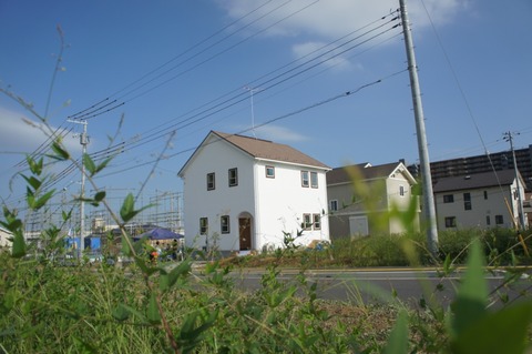 DSC07146