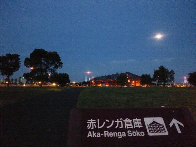 横浜 赤レンガ倉庫 横浜イカセンターでフレッシュイカリング つくしの小さなカフェのものがたり