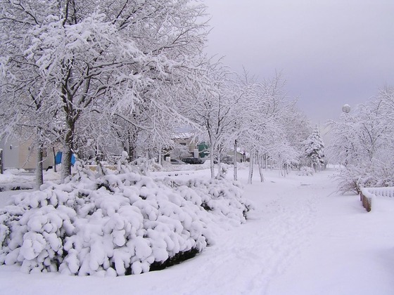 柳町公園