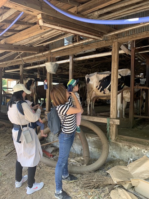 73BE3B4A-B478-4E57-AC0B-F78070C4CF43